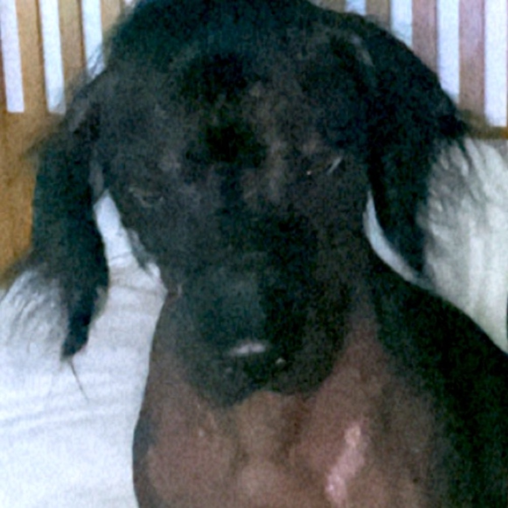 Meet your Posher, Marisol